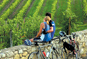 Tuscany Biking Video Thumb